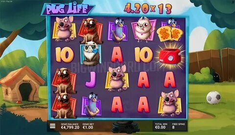 cassino online confiável goldgambling 