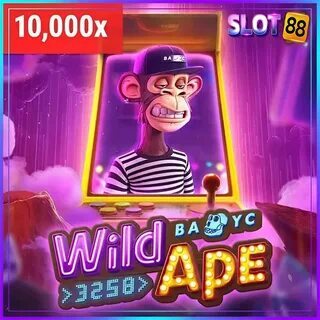 qual o melhor horário para jogar fortune tiger pela manhã 